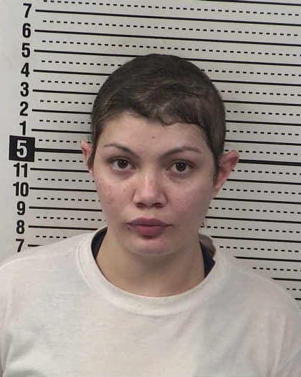 PRECIOUS NUNEZ mugshot - Las Cruces arrest, Doña Ana County